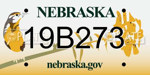 19B273 Nebraska License Plate