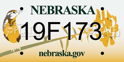 19F173 Nebraska License Plate