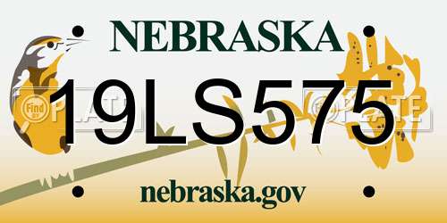 19LS575 Nebraska License Plate