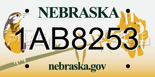 1AB8253 Nebraska License Plate