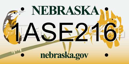 1ASE216 Nebraska License Plate