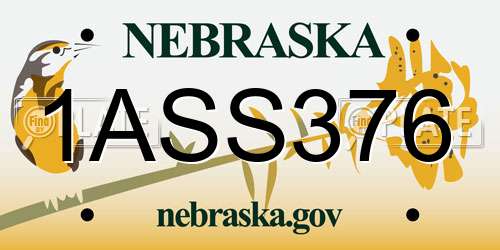 1ASS376 Nebraska License Plate