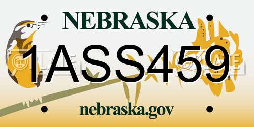 1ASS459 Nebraska License Plate