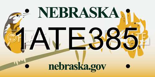 1ATE385 Nebraska License Plate