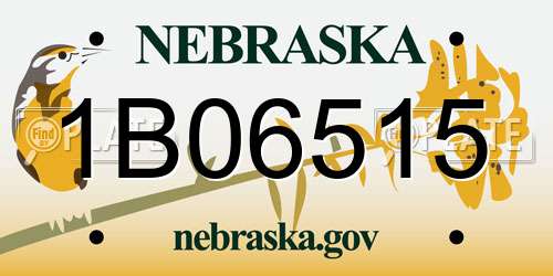 1B06515 Nebraska License Plate