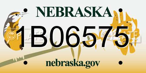 1B06575 Nebraska License Plate