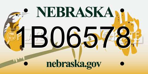 1B06578 Nebraska License Plate