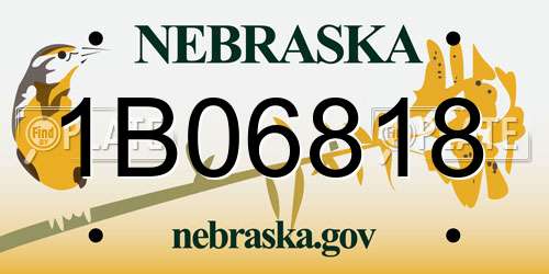 1B06818 Nebraska License Plate