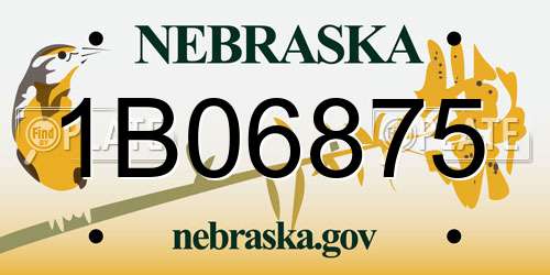1B06875 Nebraska License Plate