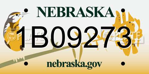 1B09273 Nebraska License Plate