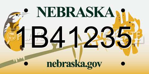 1B41235 Nebraska License Plate