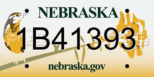 1B41393 Nebraska License Plate