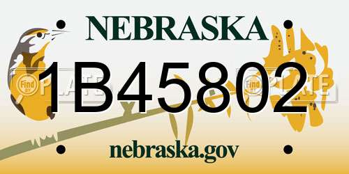 1B45802 Nebraska License Plate