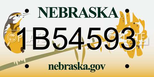 1B54593 Nebraska License Plate