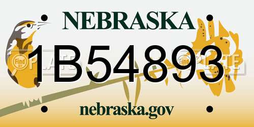 1B54893 Nebraska License Plate