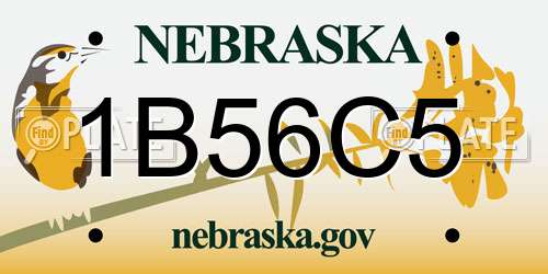 1B56C5 Nebraska License Plate