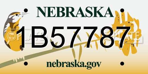 1B57787 Nebraska License Plate