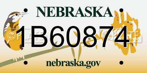 1B60874 Nebraska License Plate