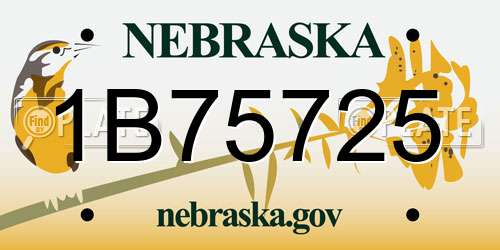 1B75725 Nebraska License Plate