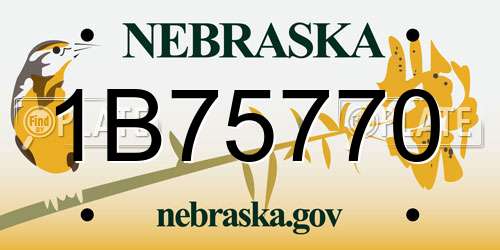 1B75770 Nebraska License Plate