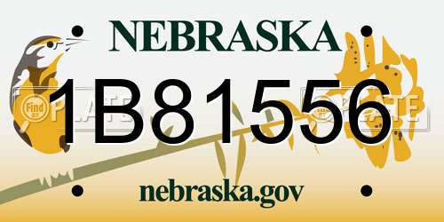 1B81556 Nebraska License Plate
