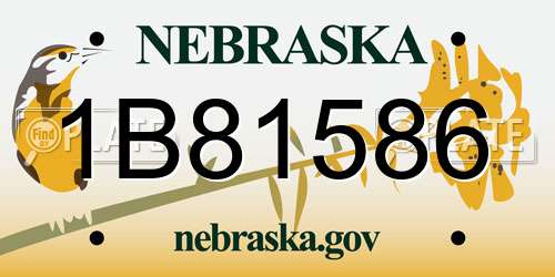 1B81586 Nebraska License Plate