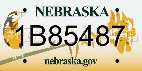 1B85487 Nebraska License Plate
