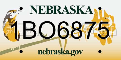 1BO6875 Nebraska License Plate