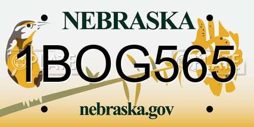 1BOG565 Nebraska License Plate