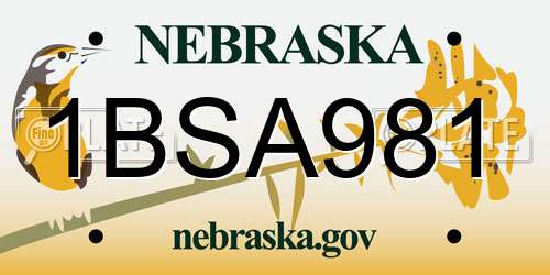 1BSA981 Nebraska License Plate