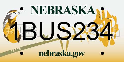1BUS234 Nebraska License Plate
