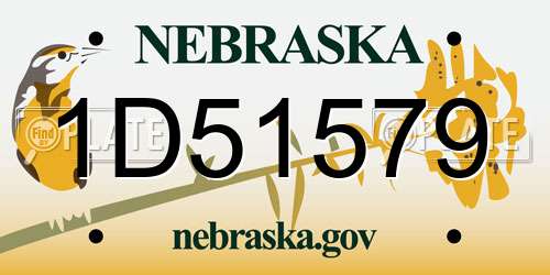 1D51579 Nebraska License Plate