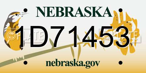 1D71453 Nebraska License Plate