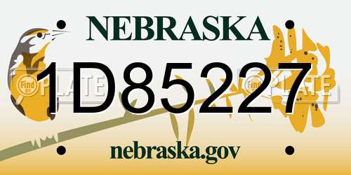 1D85227 Nebraska License Plate