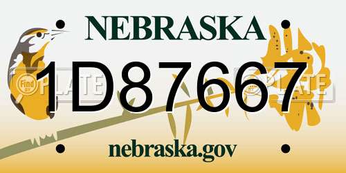 1D87667 Nebraska License Plate