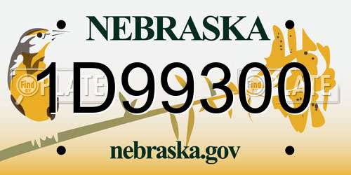 1D99300 Nebraska License Plate
