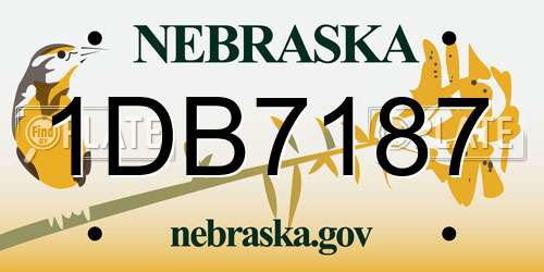 1DB7187 Nebraska License Plate
