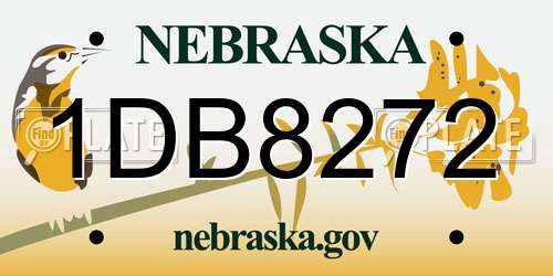 1DB8272 Nebraska License Plate