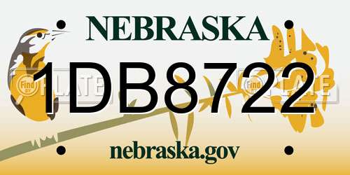 1DB8722 Nebraska License Plate