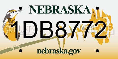 1DB8772 Nebraska License Plate