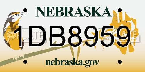 1DB8959 Nebraska License Plate
