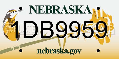 1DB9959 Nebraska License Plate