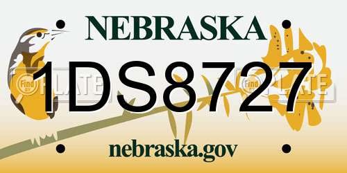 1DS8727 Nebraska License Plate