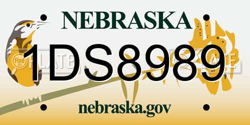 1DS8989 Nebraska License Plate