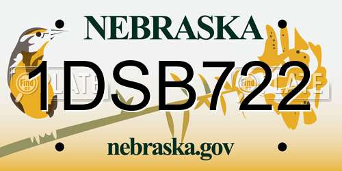 1DSB722 Nebraska License Plate