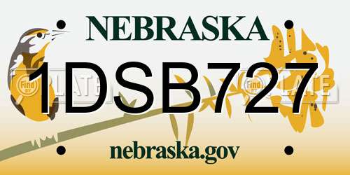 1DSB727 Nebraska License Plate