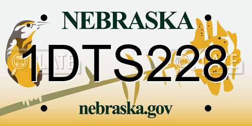 1DTS228 Nebraska License Plate