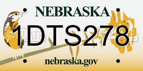 1DTS278 Nebraska License Plate