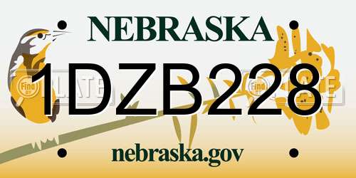 1DZB228 Nebraska License Plate