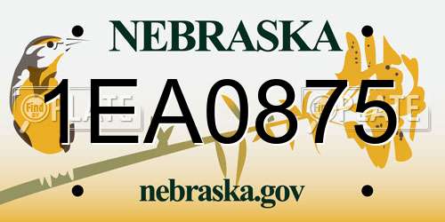 1EA0875 Nebraska License Plate